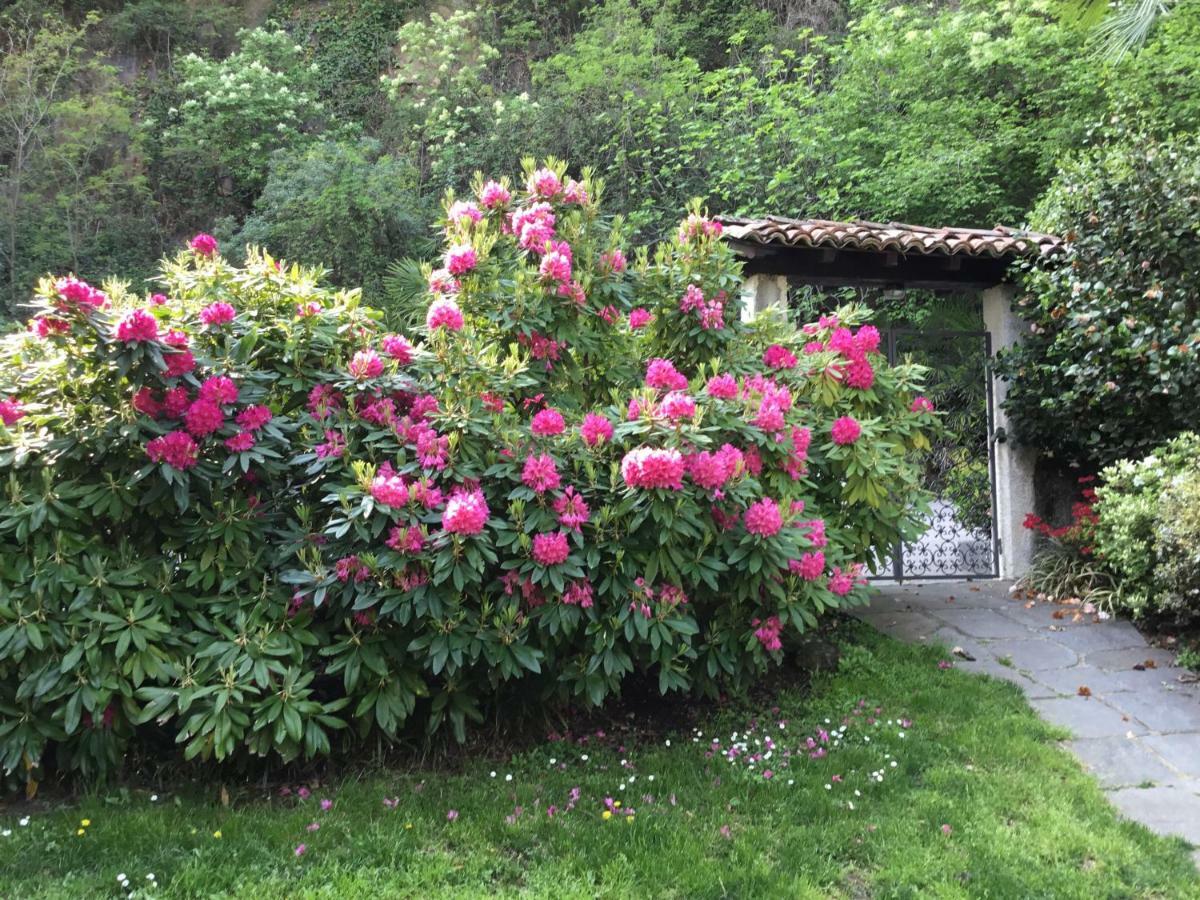 Mon Amour Appartamento In Villa Vista Lago A Lugano-Melide Dış mekan fotoğraf